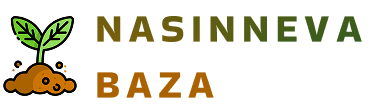 nasinnevabaza.com